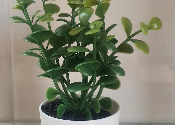 Daire Edificio Zoqueiro San Cosme de Barreiros (Barreiros, Lugo)